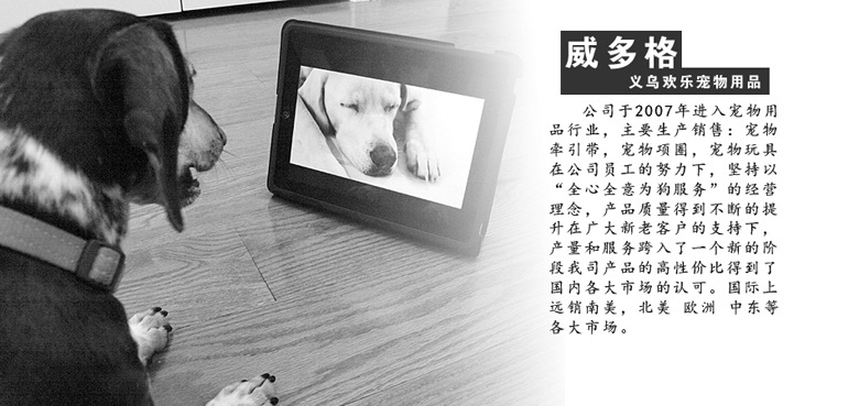 公司簡介