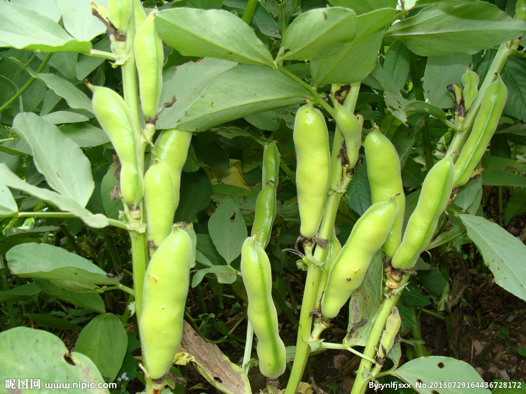 13328928_164436728172_2