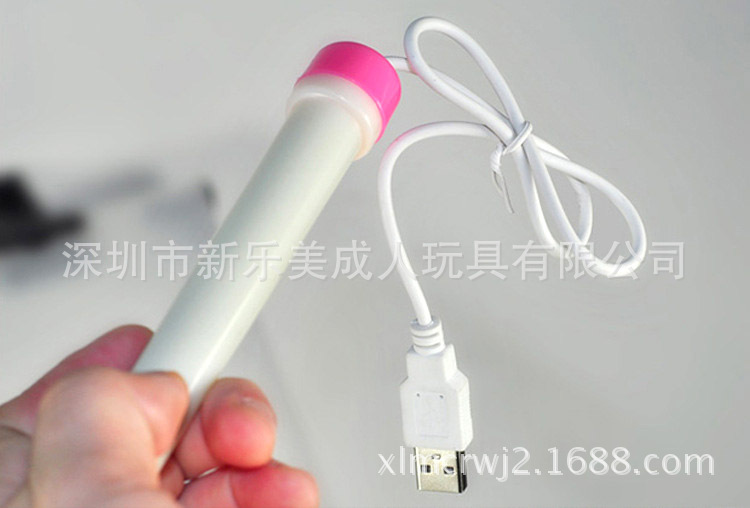 加溫棒8