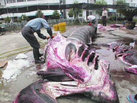 在四川射洪县发生了一件不可思议的事情 震惊