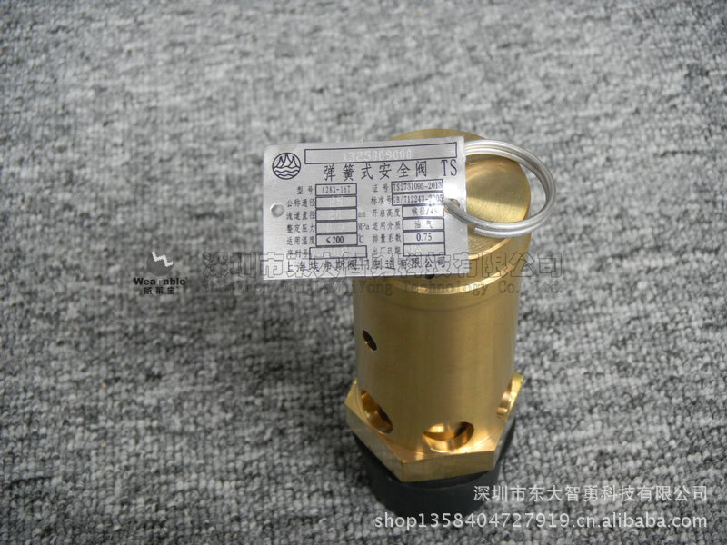 安全阀（弹簧式）