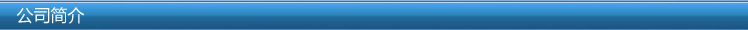 公司簡介