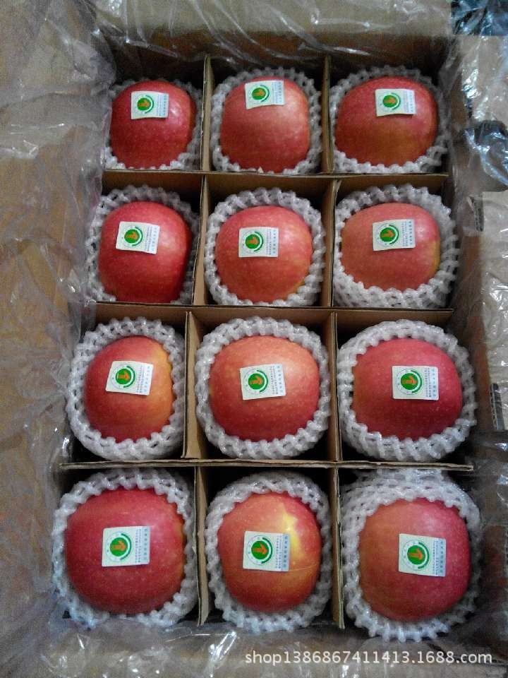 苹果-洛川苹果 红富士苹果 陕西特产精品水果 