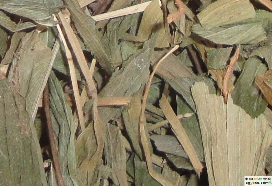 植物原药材-中药材批发 淡竹叶碎骨草-植物原药