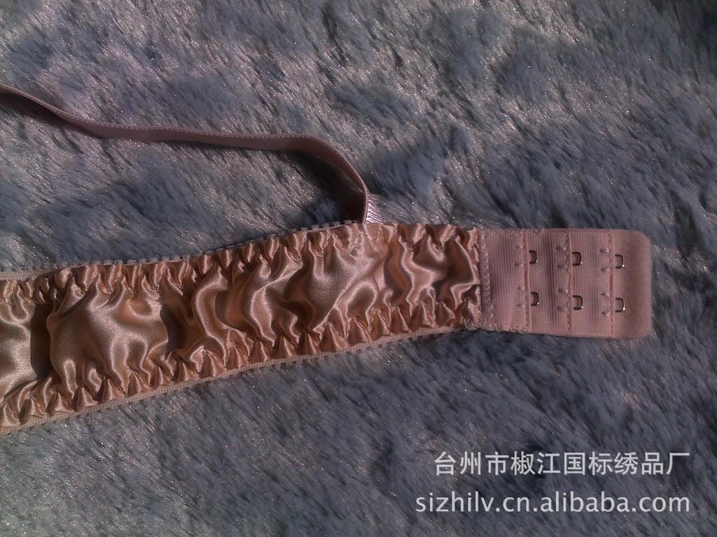 【丝之侣品牌内衣 厂家直销 真丝<em>文胸</em> <em>胸罩</em>现货