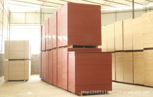 装饰板材-供应杨木整芯建筑板,建筑模板等各种