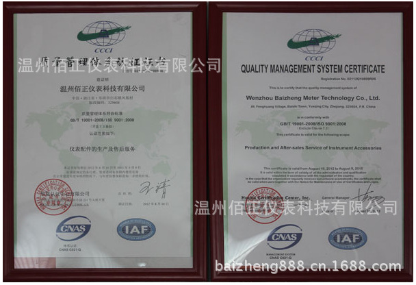 BZ ISO9000