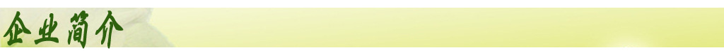 企业简介