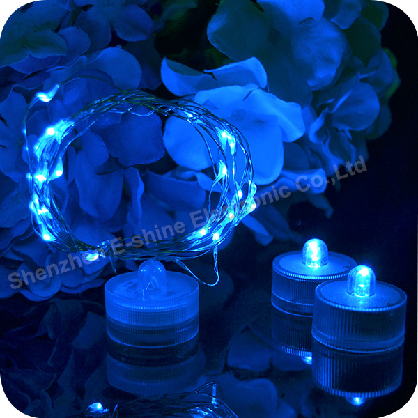 LED Submersible Lights (4)