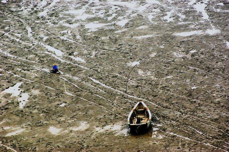 贝类-【码头货源】花甲 蛤蜊 花蛤 产地直销\/青