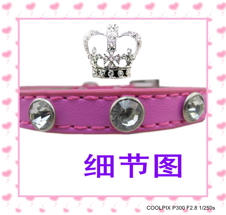 DSCN0779_conew1