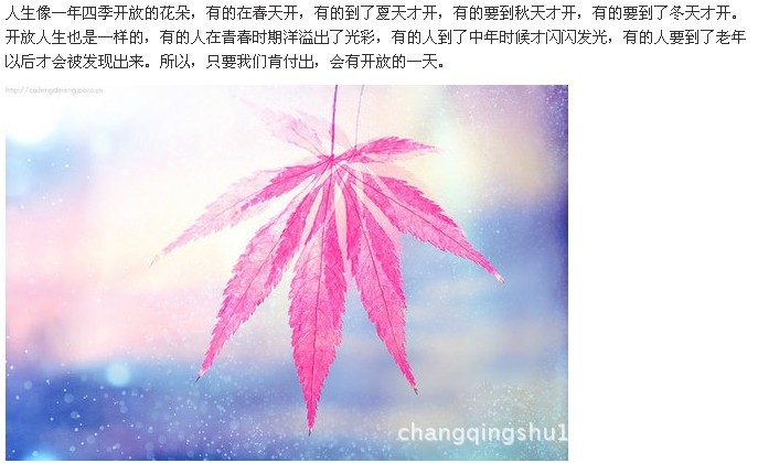 人生像四季开放的花朵