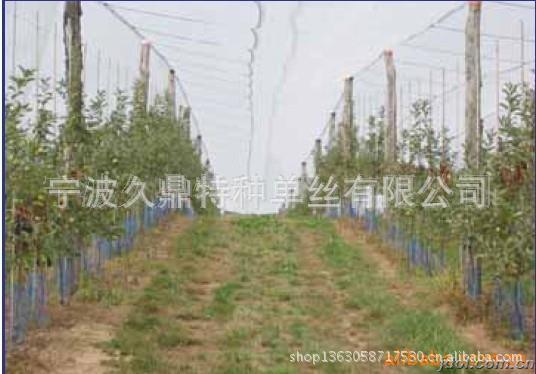 厂家直供温室大棚用压膜线