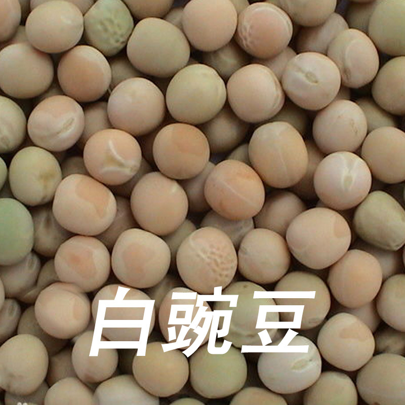优质 圆白豌豆 批发 图片