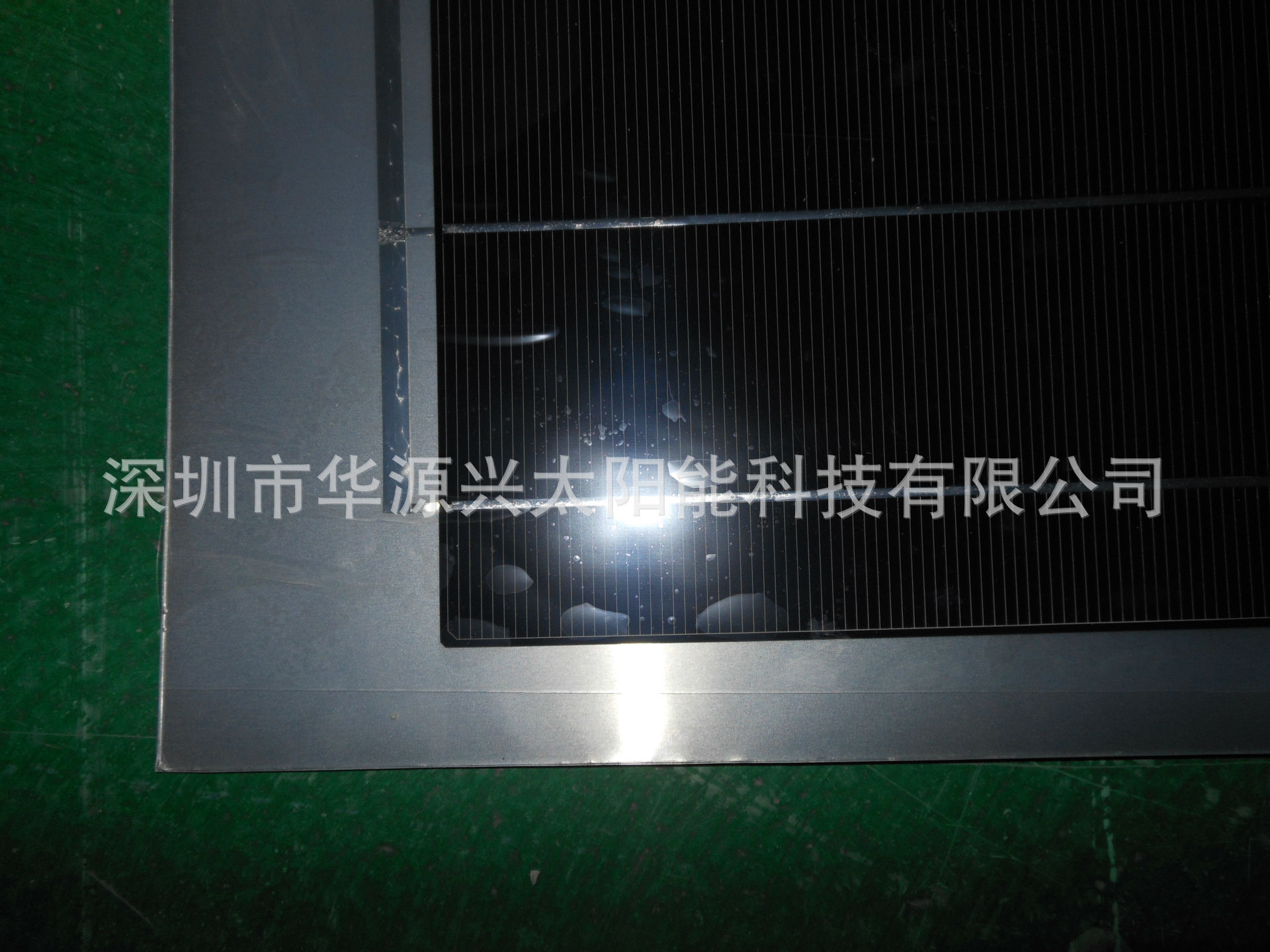 DSCN1004