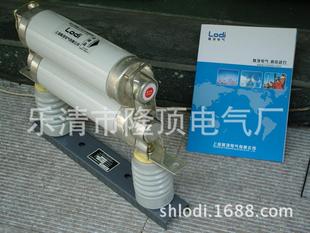其他防雷电设备-上海隆顶电气有限公司 隆顶电