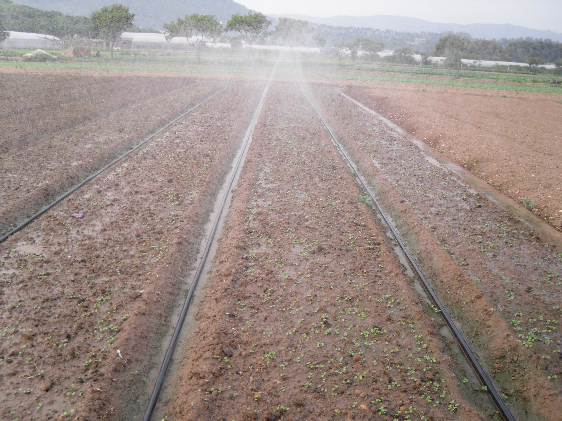 【塑料PE软管农田浇水灌溉水管 大棚浇灌施肥