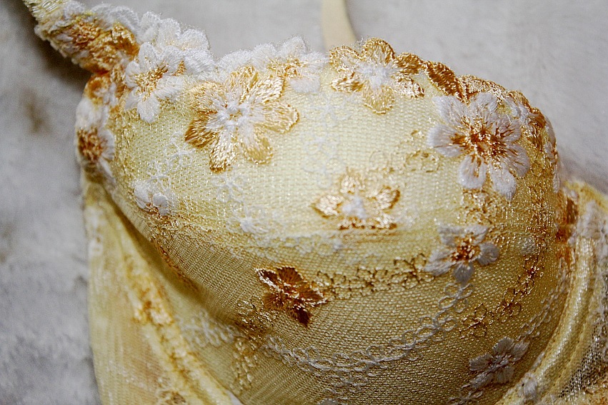 梦仟妮供应大玫瑰花蕾丝<em>刺绣</em>竹纤维抗菌微调整