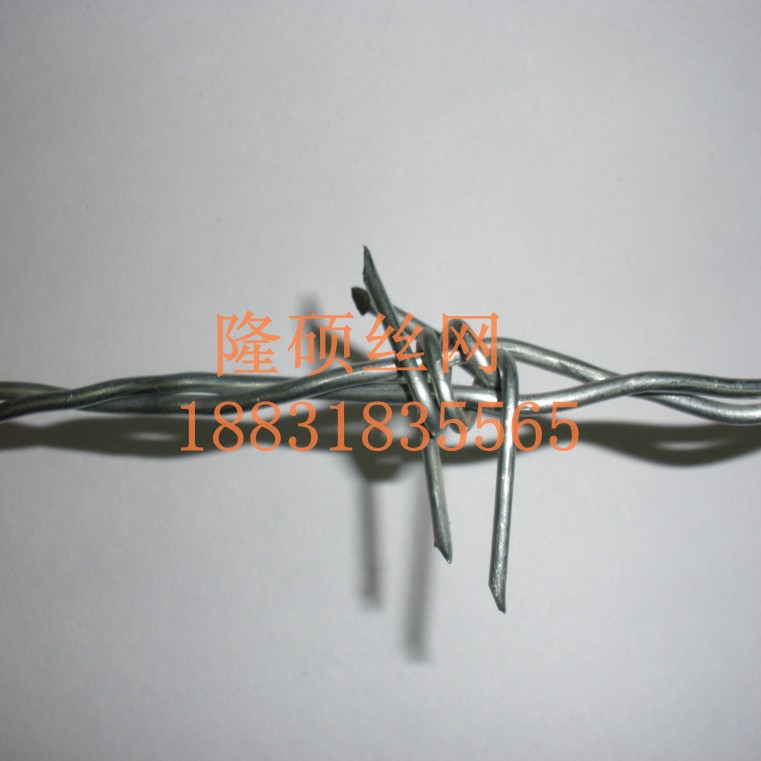 刺绳