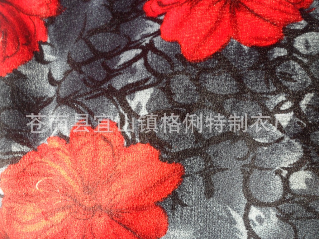 SAM_0278