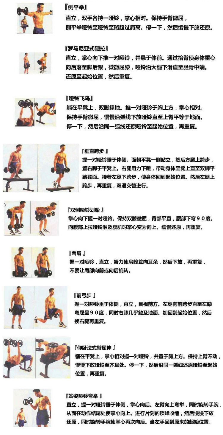 哑铃10152030副本_20