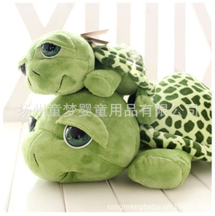 曾小賢大眼烏龜主圖