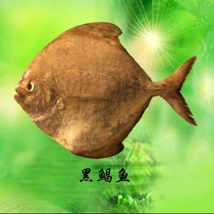 //䶳ּӹˮƷ/Ʒ/ʼӹ/ˮƷ