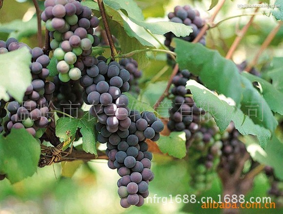 QQ图片20130708143412