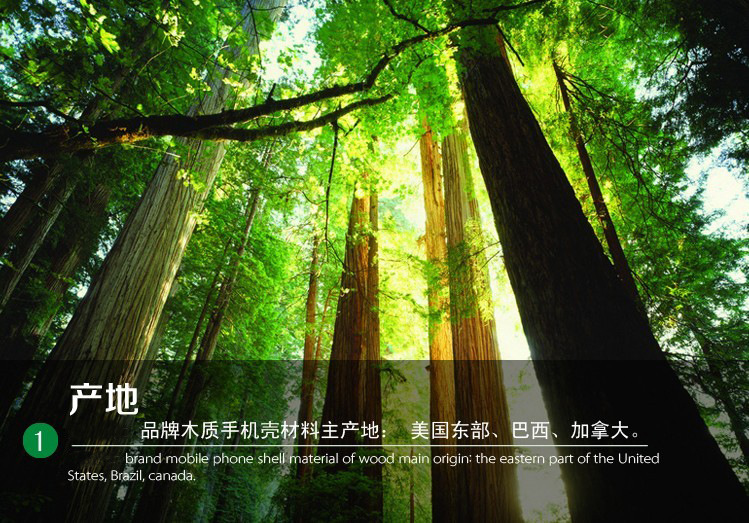 實木詳細1