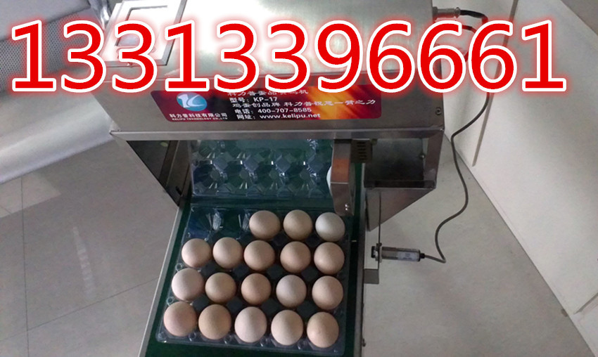 电话-cctv2一锤定音报名电话是多少--阿里巴巴