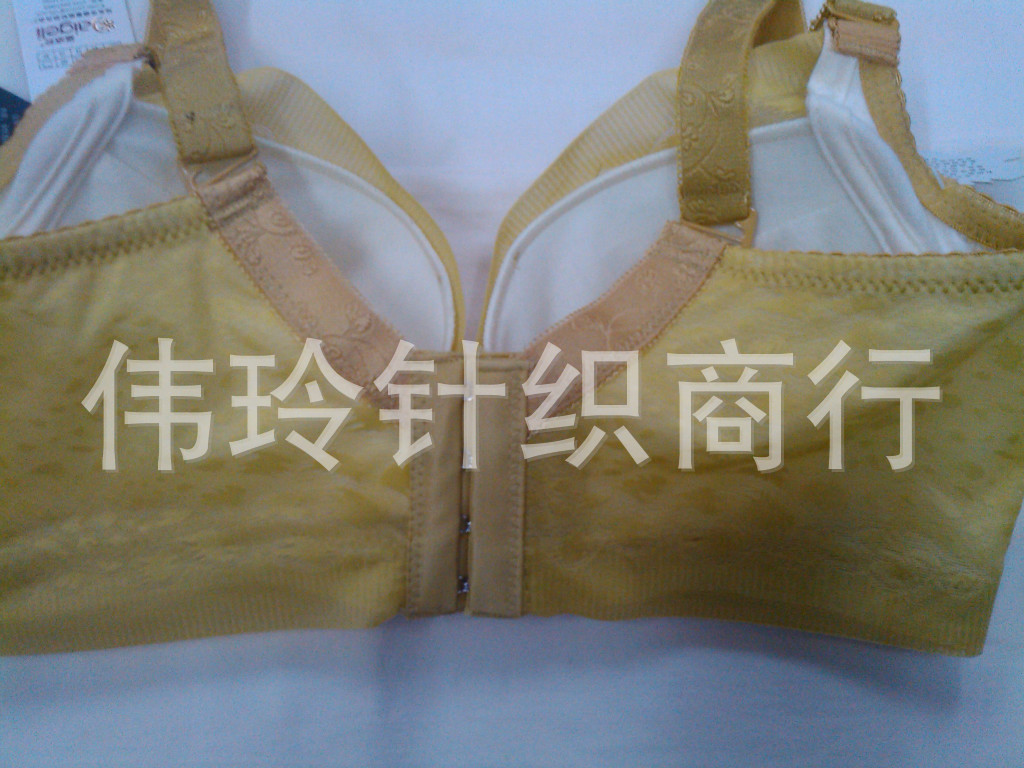 批发采购<em>文胸-3线品牌</em> 黛格莉8016聚拢中模杯