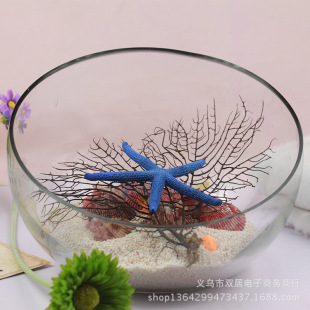 厂家直供玻璃摆件 时尚创意花瓶鱼缸斜口圆球多肉微景观植物器皿