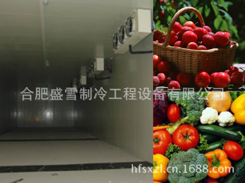 冷库果蔬