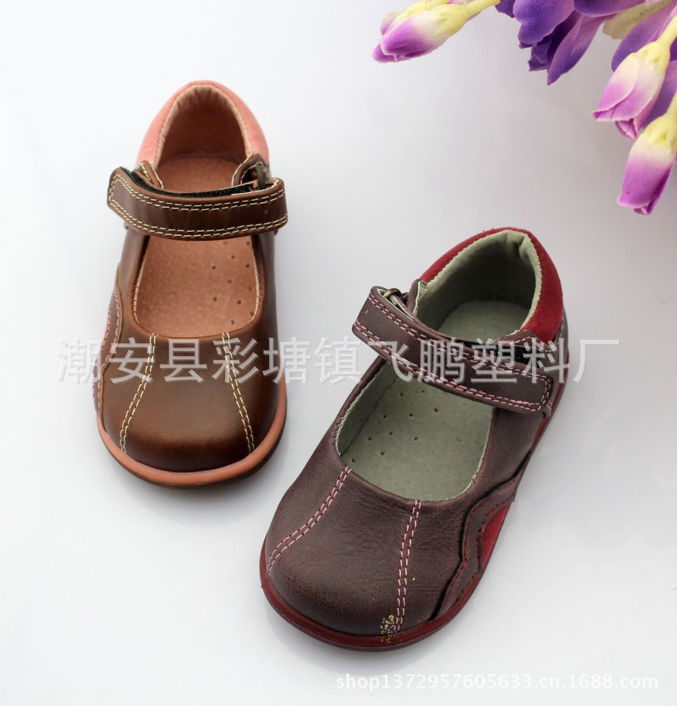 照片 1901