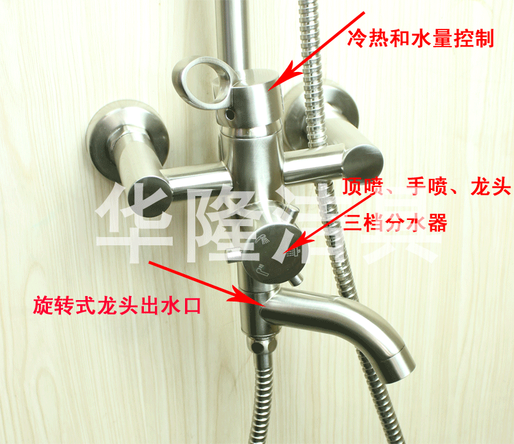 主体