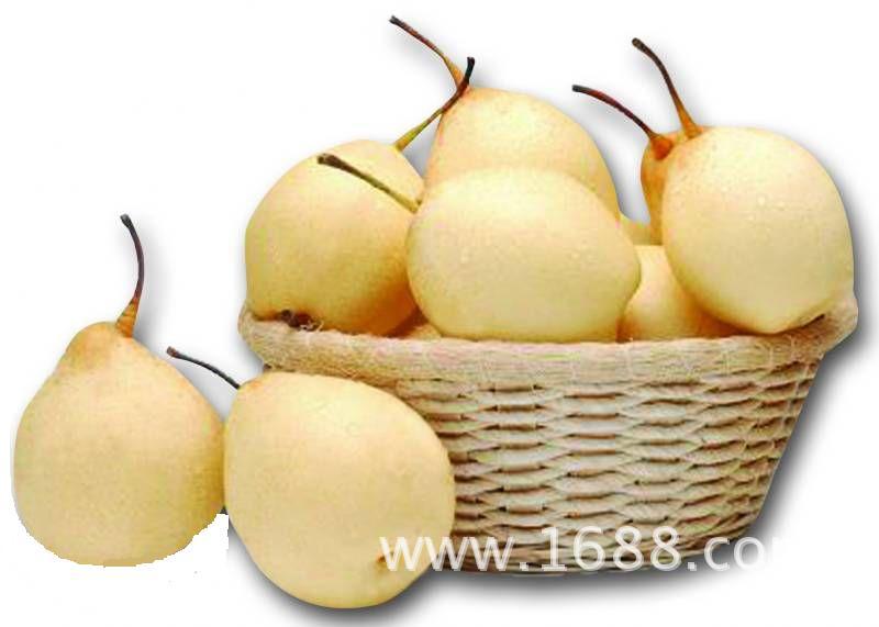 【发现农业商机:说说家乡土特产】+河北沧州大