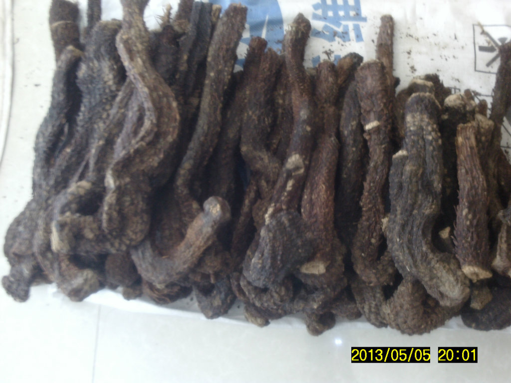 【内蒙阿拉善野生肉苁蓉 锁阳】价格,厂家,图片