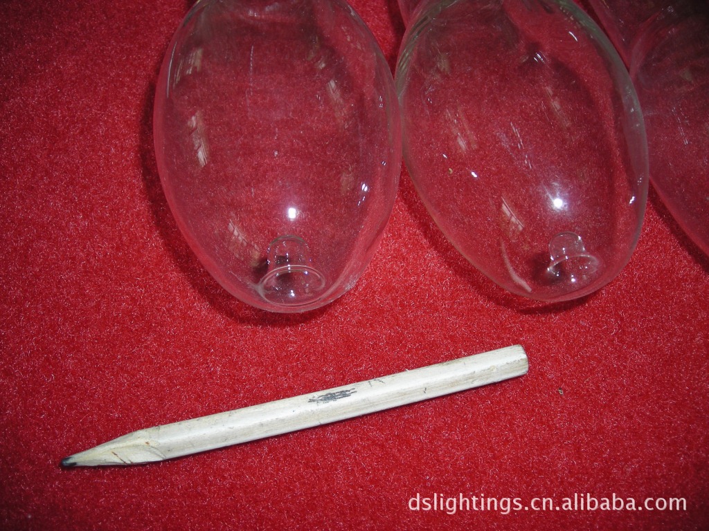 DSCN1209