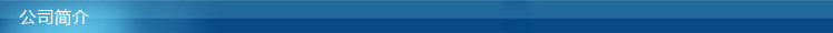 公司简介