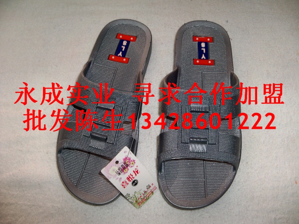 照片 284