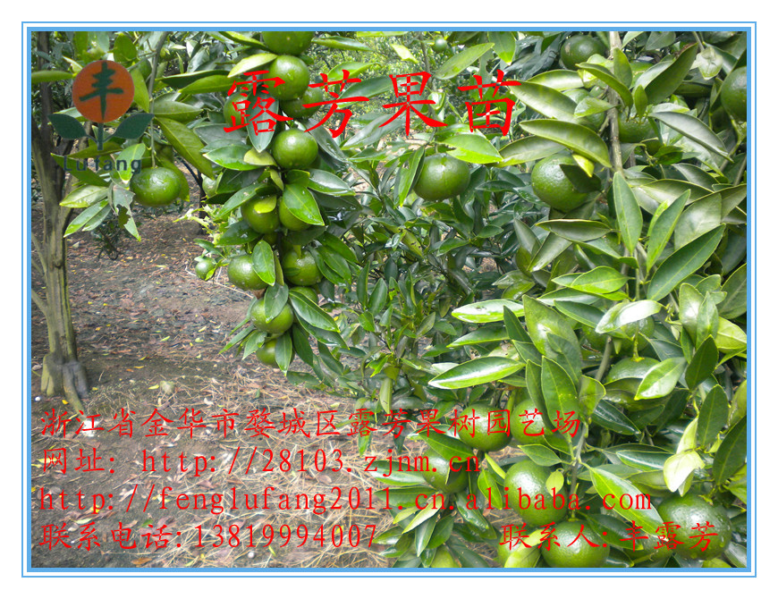 义乌海洋世界图片 134_副本