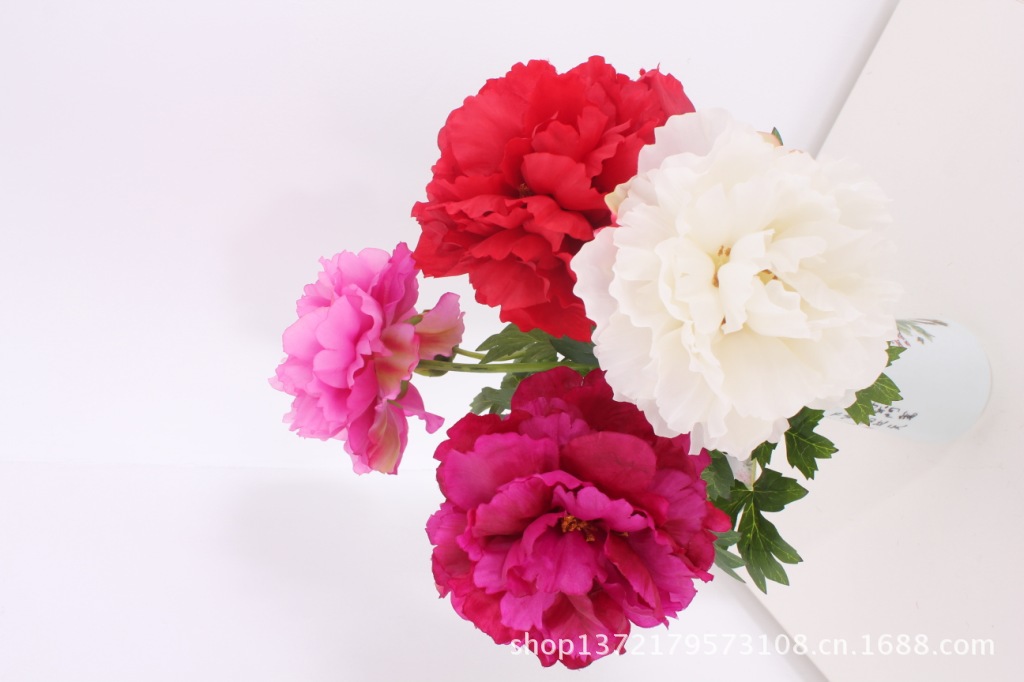 两头牡丹7(2-Head Peony)SJB1248
