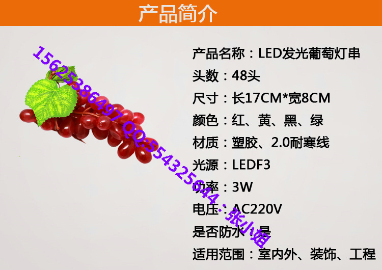 48頭紅色