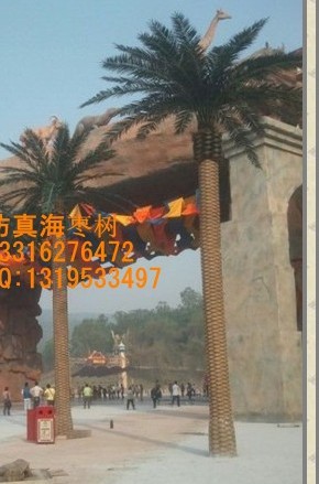 50-60CM 定外1200元一米,室内1000元一米