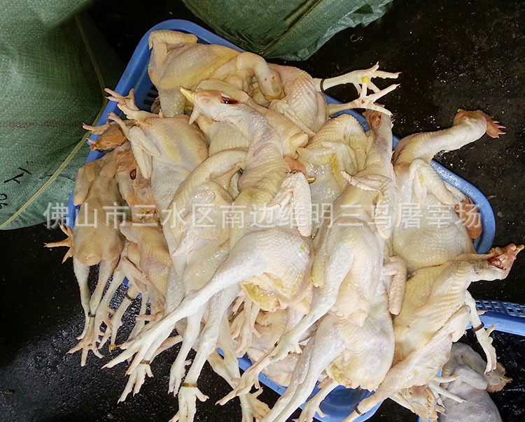 简加工肉类-【批发出售】 美味鲜佳冰鲜鸡 优质