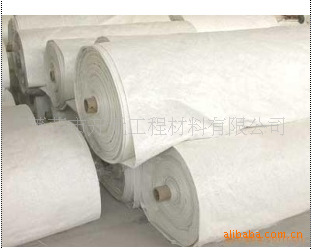 224324194_1808384198[1]