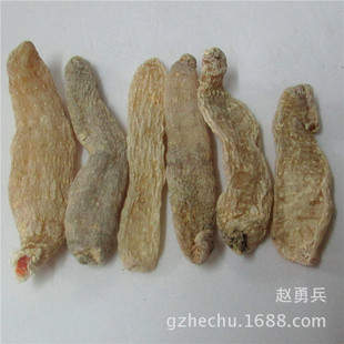 名贵中药材大别山中 【天麻】/野生天麻 原装正品 100g/包