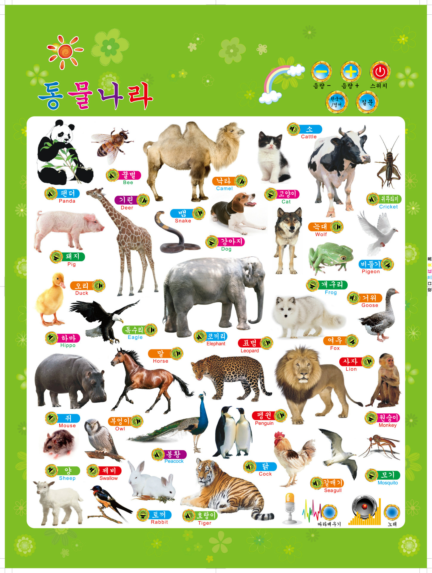 1韩文识动物