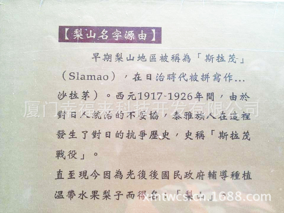 梨山比赛茶4