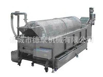 蔬菜异物清洗机